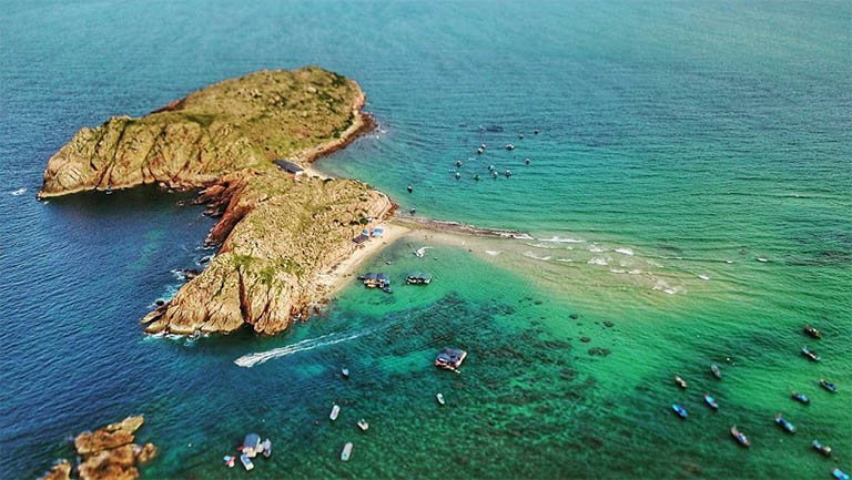 gia-phong-seagull-hotel-quy-nhon-2