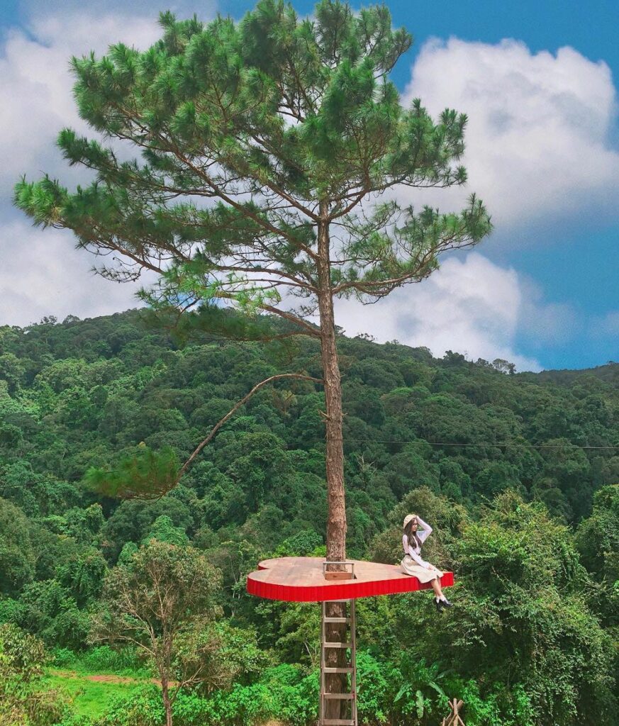 trái tim lơ lửng đà lạt