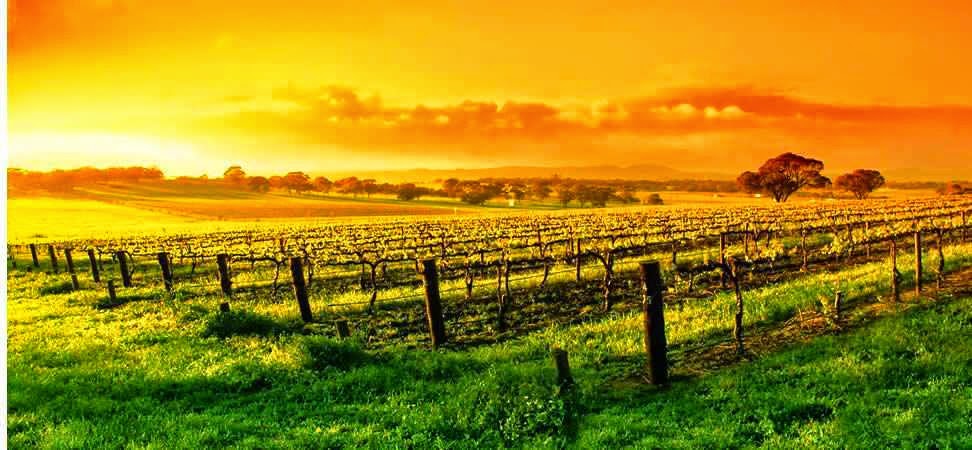 ve may bay di uc thung lung Yarra