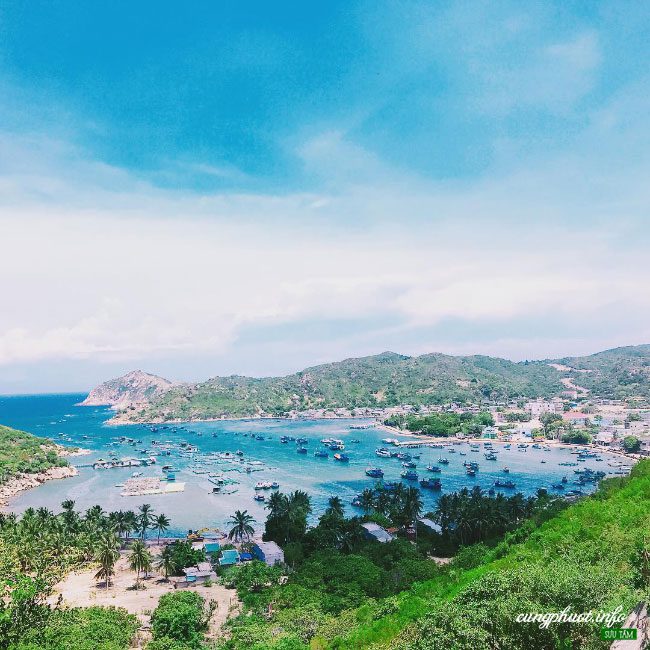 gia-thue-limousine-da-nang-ninh-thuan-vinh-vinh-hy