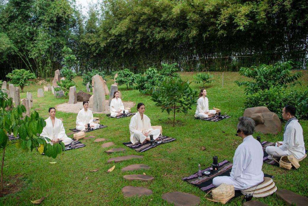 vườn thiền trị liệu