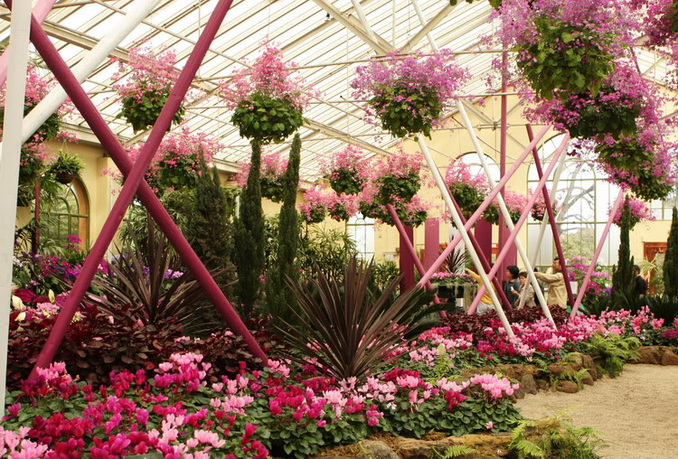 vuon thuc vat fitzroy