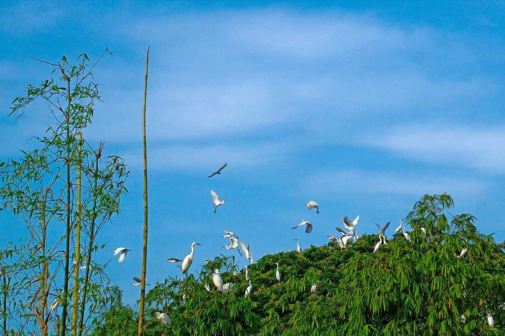 khach-san-ttc-can-tho-booking