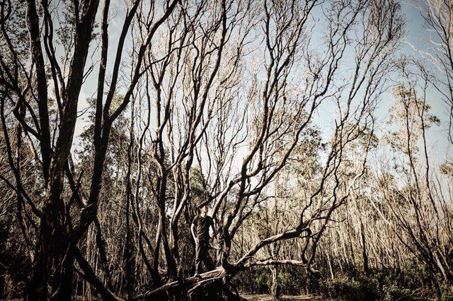rung-quóc-gia-binh-chau-vung-tau