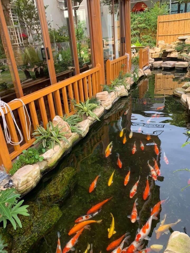 ca-Koi-peace-villa-soc-son