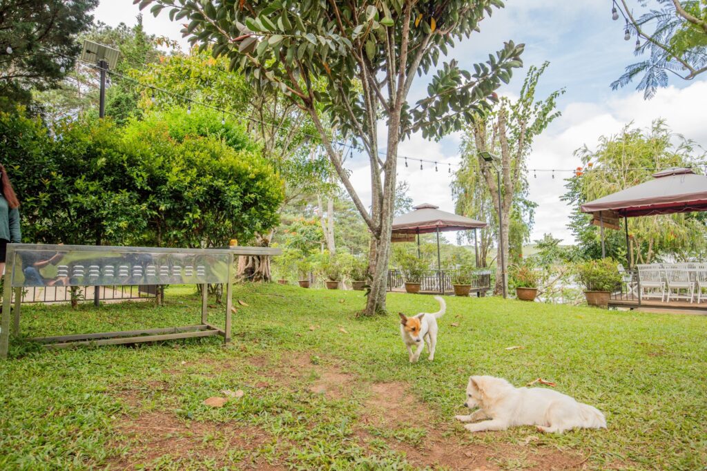 violet-villa-2