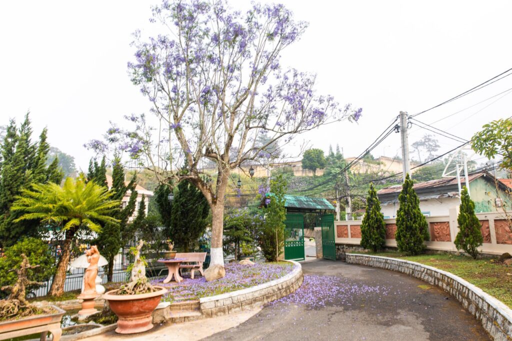 tung-villa-7-phong-ngu-da-lat-6