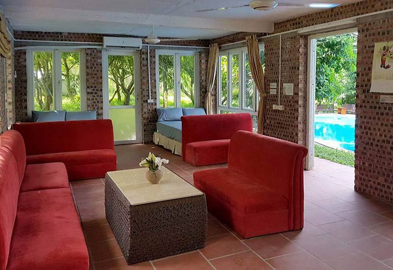 review-trang-trai-thung-may-farm-hoa-lac-4